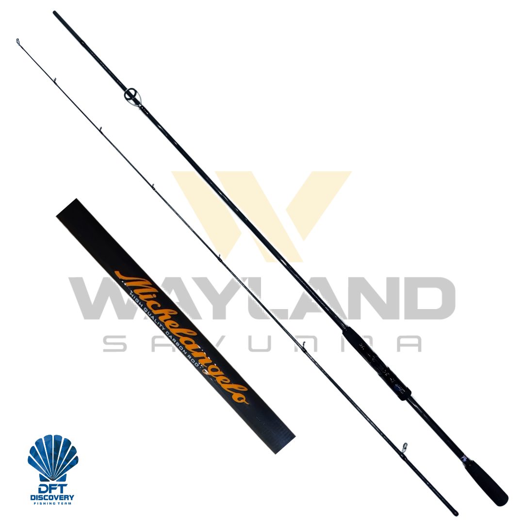DFT Michelangelo 243 cm Olta Kamışı 10-20 g