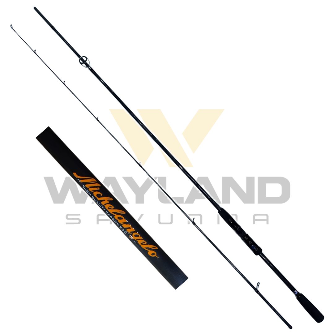 DFT Michelangelo 243 cm Olta Kamışı 10-20 g görseli 2