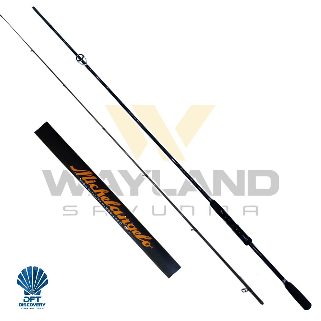 DFT Michelangelo 274 cm Olta Kamışı 10-35 g