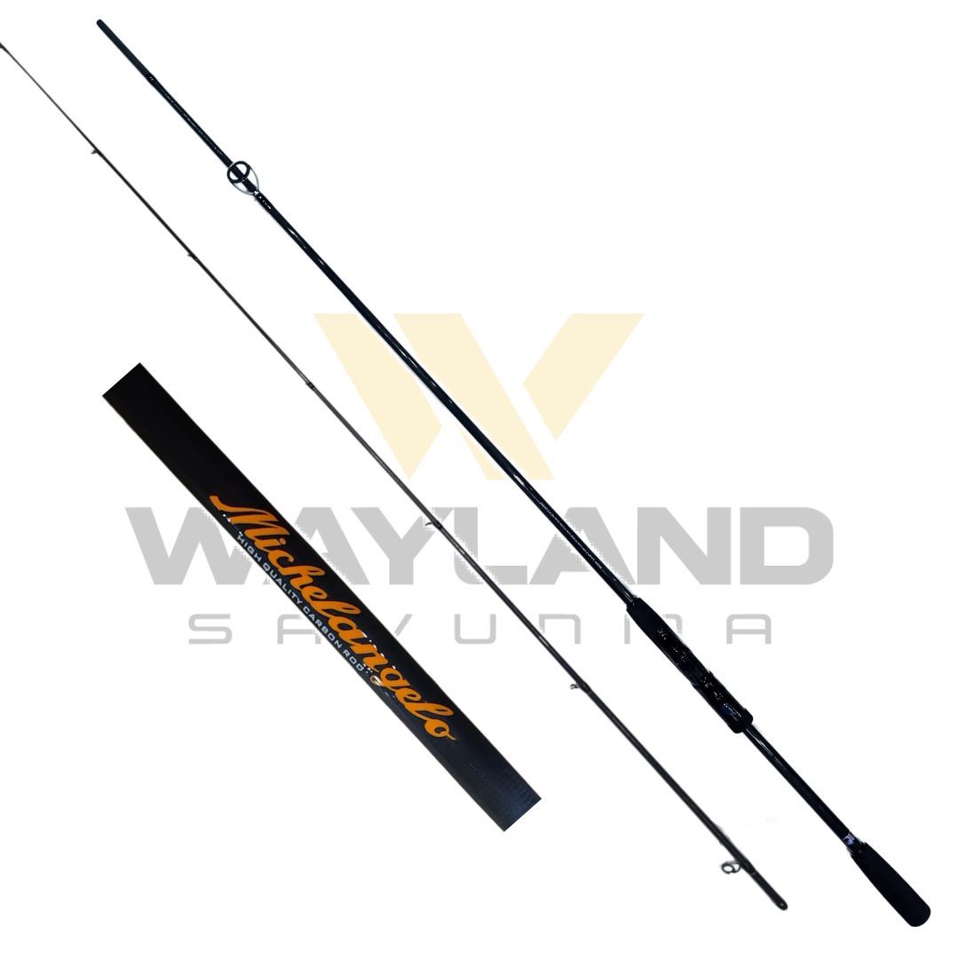 DFT Michelangelo 274 cm Olta Kamışı 10-35 g görseli 2