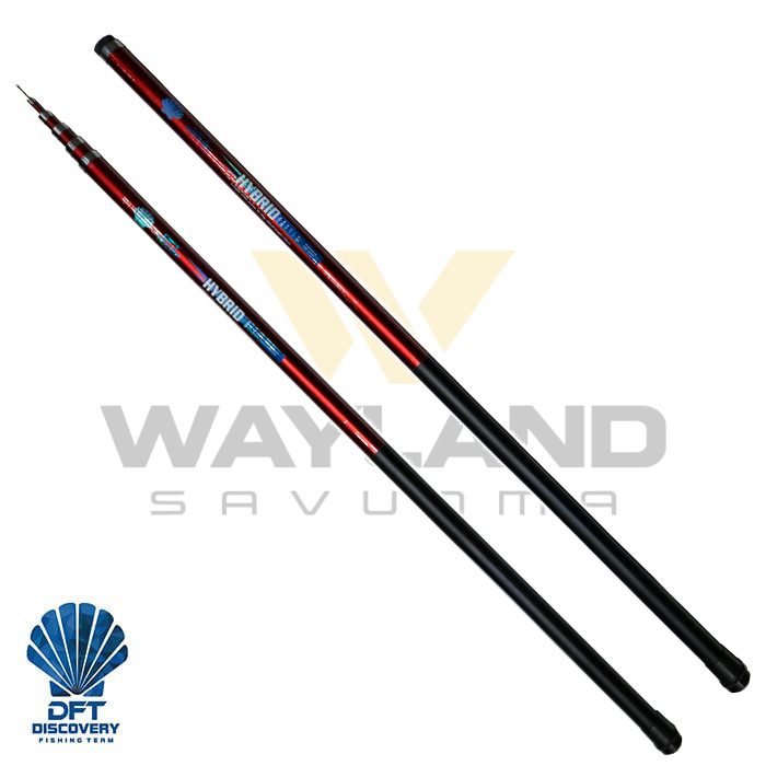 DFT Hybrid 300 cm Yüzüklü Göl Kamışı 10-30 g